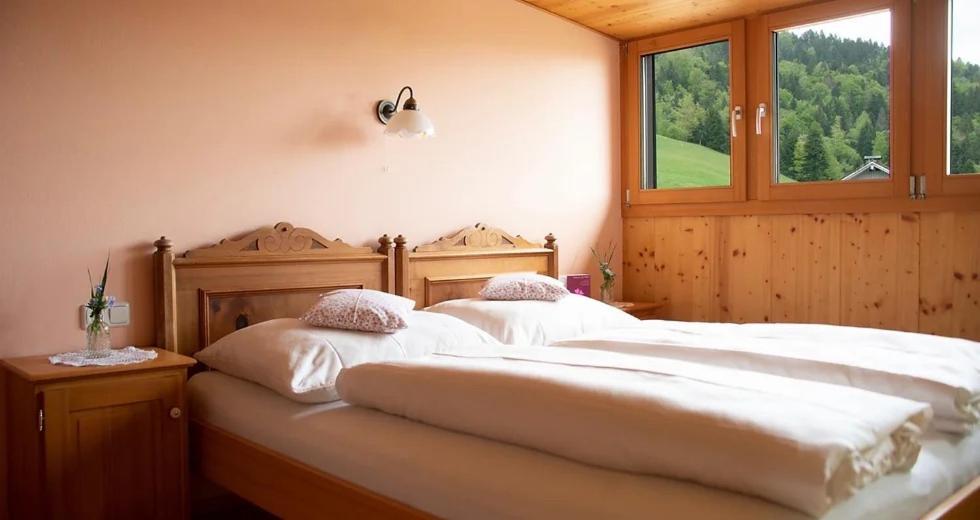 Bio Ferienbauernhof Greber Villa Schwarzenberg im Bregenzerwald Ngoại thất bức ảnh