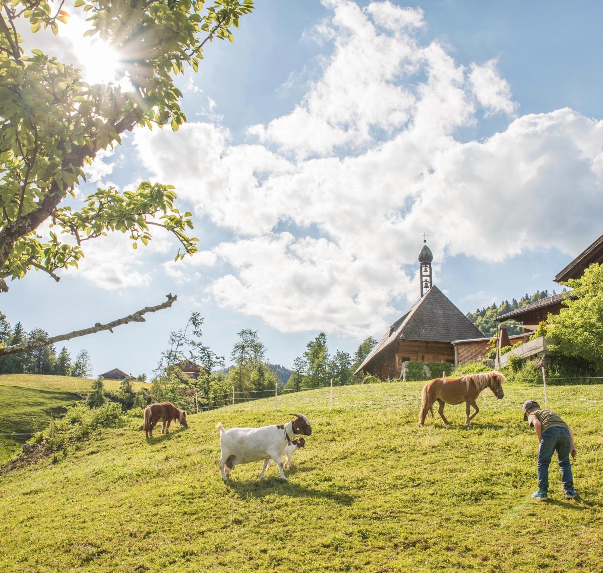Bio Ferienbauernhof Greber Villa Schwarzenberg im Bregenzerwald Ngoại thất bức ảnh